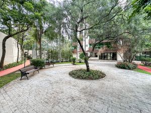 Image 41 - 920254