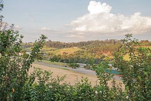 Image 6 - 920261