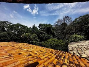 Image 100 - 920283