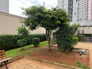Image 30 - 920325