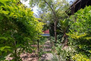 Image 20 - 920333
