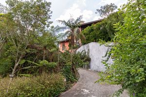 Image 37 - 920333
