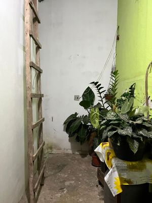 Image 1 - 920344
