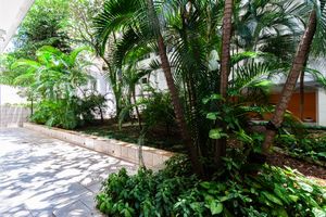 Image 6 - 920395