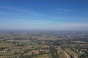 Image 9 - 920437