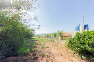 Image 6 - 920437