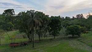 Image 3 - 920453