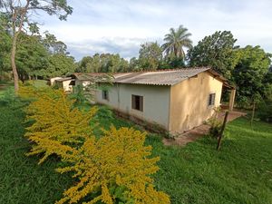 Image 27 - 920453