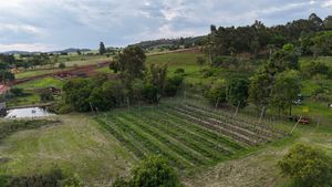 Image 5 - 920453