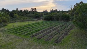 Image 6 - 920453