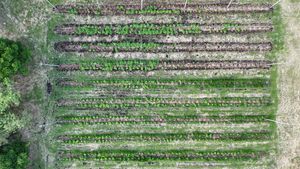 Image 10 - 920453