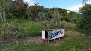 Image 8 - 920453