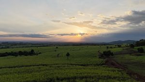 Image 19 - 920453