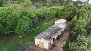 Image 12 - 920453