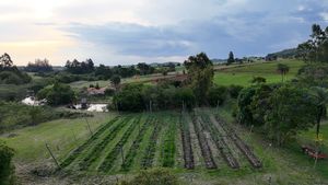Image 4 - 920453