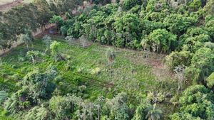 Image 17 - 920453