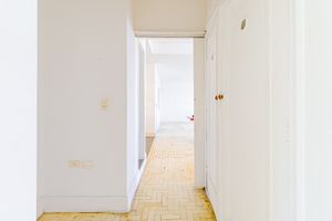 Image 19 - 920462
