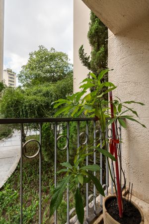 Image 32 - 920485