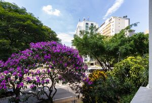 Image 6 - 920486