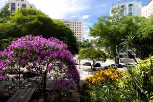 Image 11 - 920486