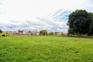 Image 46 - 920489