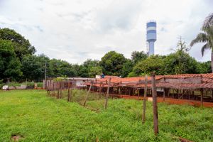 Image 47 - 920489