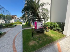 Image 19 - 920529