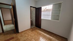 Image 32 - 920535