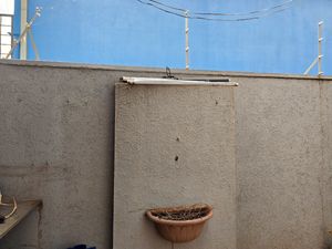 Image 9 - 920536