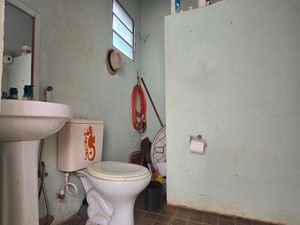 Image 8 - 920536