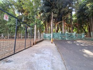 Image 10 - 920566
