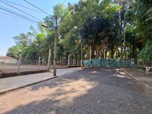 Image 6 - 920566