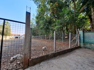 Image 11 - 920566