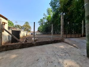 Image 15 - 920566