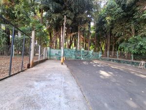 Image 5 - 920566