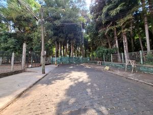 Image 8 - 920566