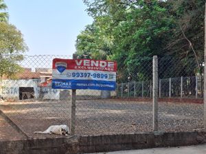 Image 3 - 920566