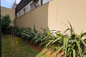 Image 37 - 920592