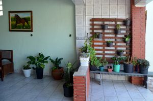 Image 51 - 920595