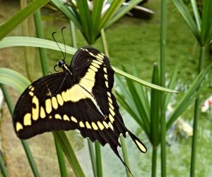 Image 9 - 920665