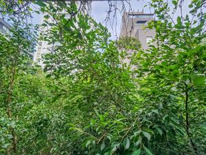 Image 5 - 920673