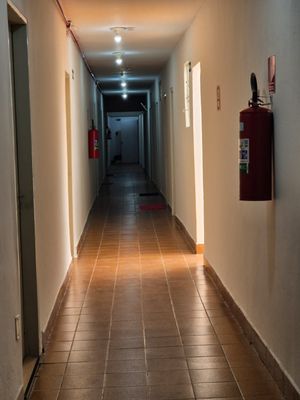 Image 16 - 920699