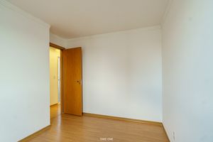 Image 8 - 920878
