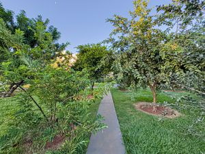 Image 112 - 920905