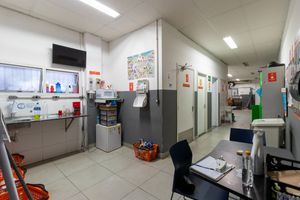 Image 16 - 921134
