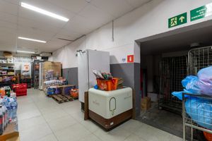 Image 20 - 921134