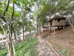 Image 32 - 921188