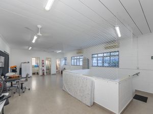 Image 31 - 921254