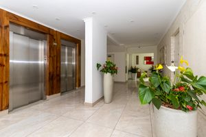 Image 34 - 921369