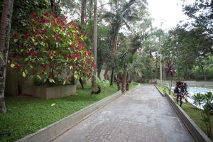 Image 40 - 921374
